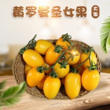 山东寿光黄罗曼圣女果 （橙色大果子）全年除了8-9月均有货 低糖，减肥可吃